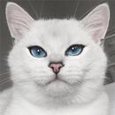Cat wallpapers 4K : cute, funny APK