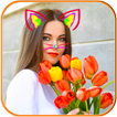 Cat Face Photo Editor