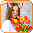 Cat Face Photo Editor APK