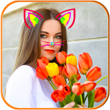 Cat Face Photo icon