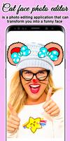 Cat Face Photo poster