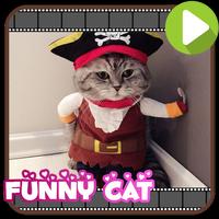 70+ Funny Cat Addict Collection โปสเตอร์