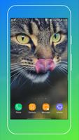 Cat Wallpaper imagem de tela 2