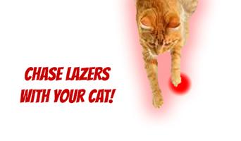 Lazer chase for cats Affiche