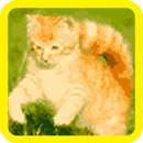 Cat Color Number - Pixel Art APK