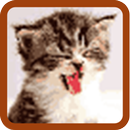 Cat Pixel Art APK