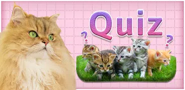 Cats Quiz - All about Cats