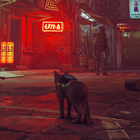ikon Cat Simulator