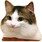 Cat Stickers simgesi