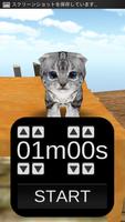 Cat Timer Cartaz