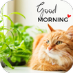 Cat Good Morning