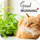 cat good morning أيقونة