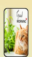 cat good morning الملصق