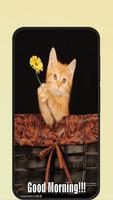 cat good morning تصوير الشاشة 2