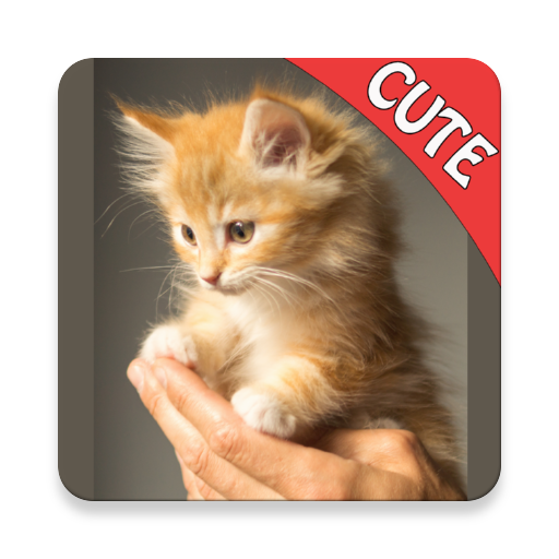 かわいい猫の記憶ゲーム