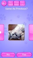 Cute Cats Memory matching GAME capture d'écran 1