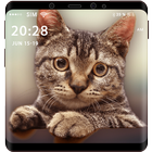 Cat Live Wallpapers HD | 3D Cat Live Effects icon