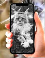 Cat Live Wallpapers HD | 3D Cat Live Effects screenshot 1