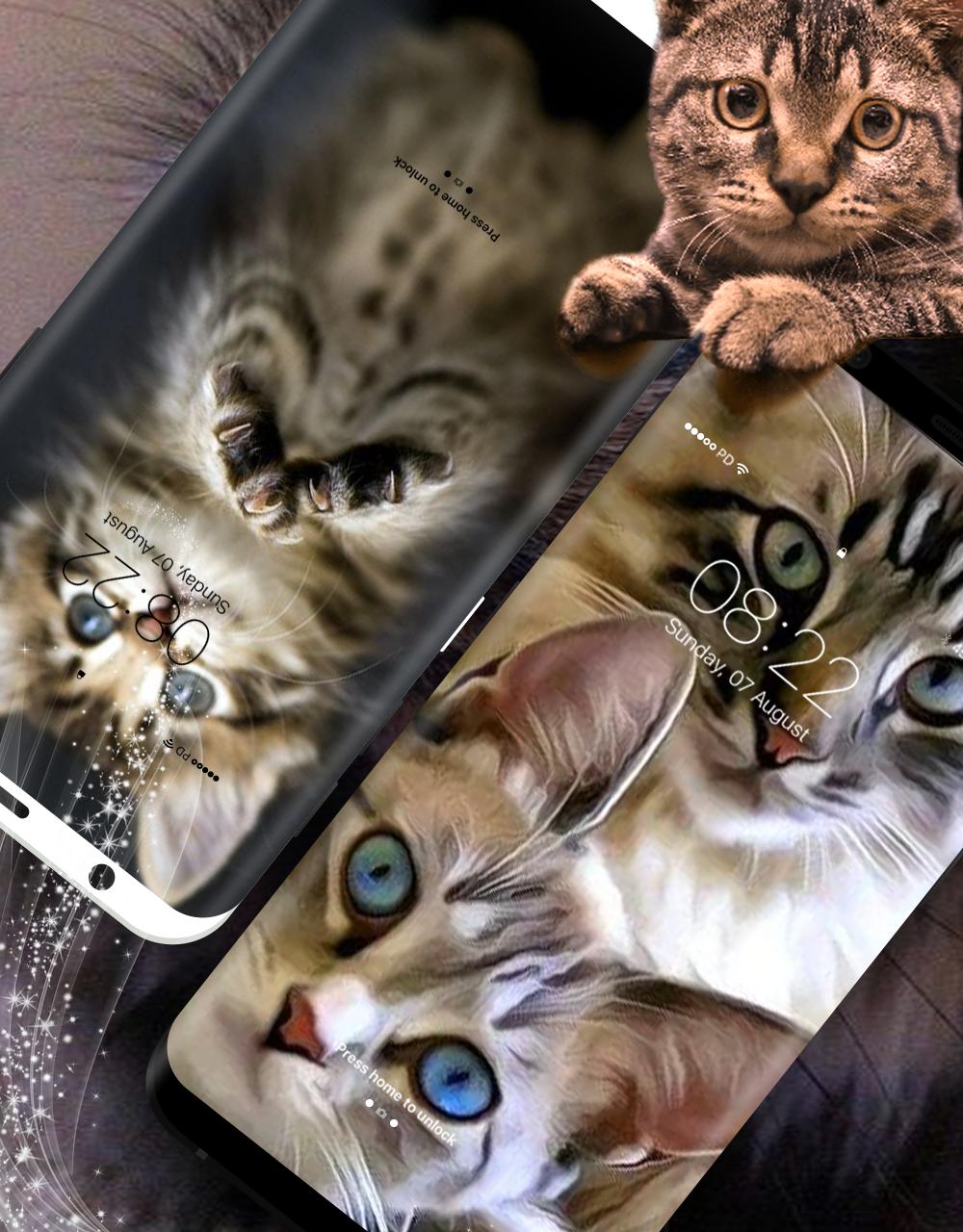 Живые картинки кошки