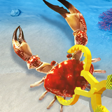 Catch Fish! icon