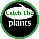 Catch Em Plantz APK