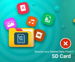Sd Card Backup / Recovery Plakat