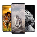 Tigers Wallpapers - Tigers Images HD & 4K