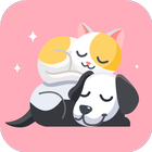 Cat&Dog Expert icon