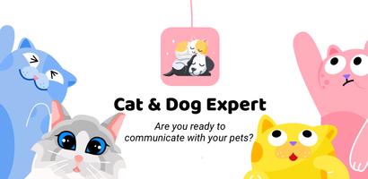 Cat&Dog Expert الملصق