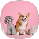 Cats & Dogs Quiz APK