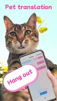 Cat Meow Translator Cartaz