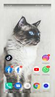 Cute Cats Wallpaper full hd screenshot 2