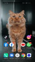 Cute Cats Wallpaper full hd screenshot 3