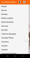 CAT BREEDS ENCYCLOPEDIA 2021 screenshot 3