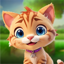 Cat Face APK