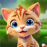 Cat Face ikona