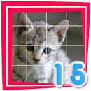 Cat 15 APK