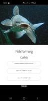Catfish Guide - Farming, Care, poster