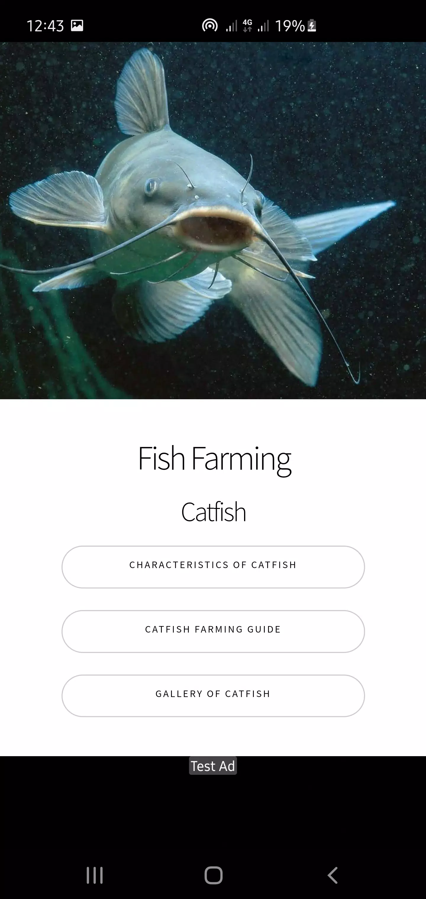 Guide du poisson-chat - Élevage, soins, méthode APK pour Android Télécharger