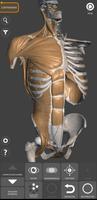 Anatomía 3D para el artista Poster