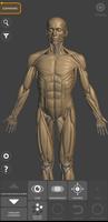 Anatomie 3D pour artiste capture d'écran 3