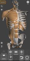 Poster Anatomia per l'Artista 3D