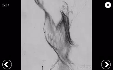 download Anatomia per l'Artista 3D XAPK