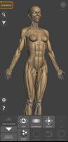 1 Schermata Anatomia per l'Artista 3D