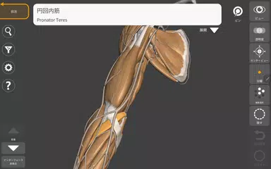 アーティストのための3D解剖学的構造 アプリダウンロード