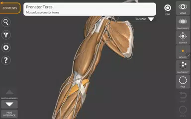 3D Anatomy for the Artist XAPK download