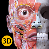 Anatomy 3D Atlas APK