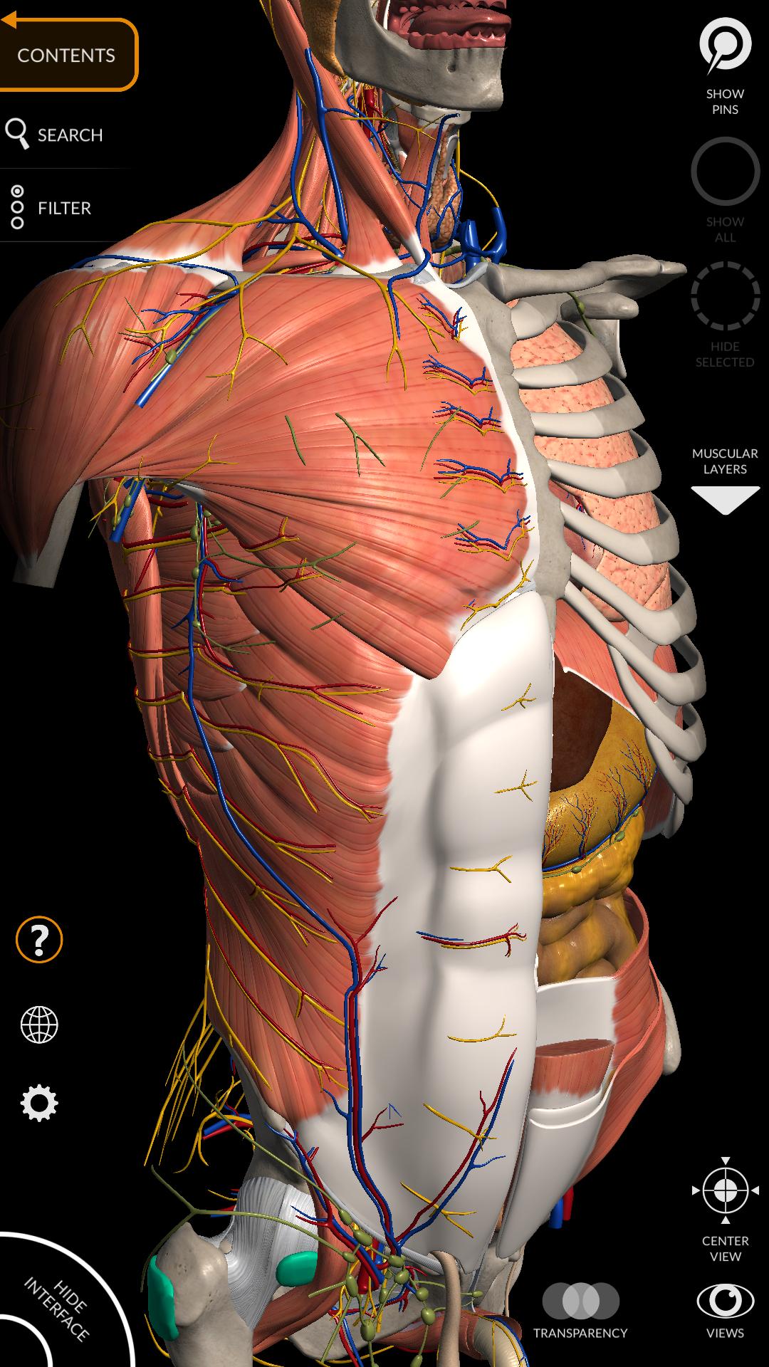 Anatomy 3D Atlas for Android - APK Download