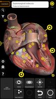 Anatomy 3D Atlas ภาพหน้าจอ 2