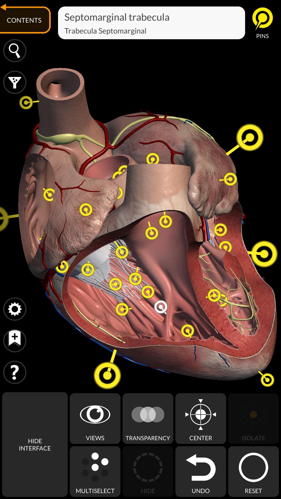 تحميل برنامج Anatomy 3D Atlas مجانا للاندرويد